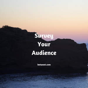 Survey Your Audience