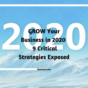 Grow Your Business in 2020 9 Critical Strategies Exposed